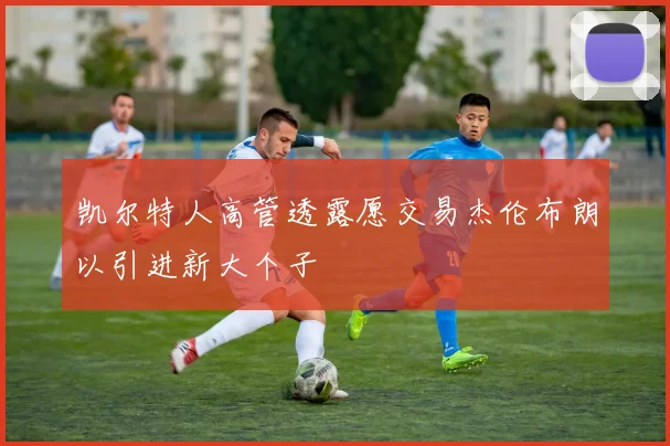 凯尔特人高管透露愿交易杰伦布朗以引进新大个子
